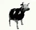 cow