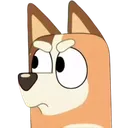 346064508_1464029851078693_90911