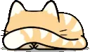 catPeek