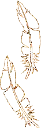 1_