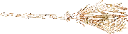 Layer9