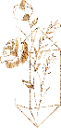 Layer21