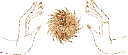 Layer22