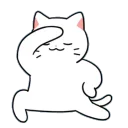 cat2 cat2
