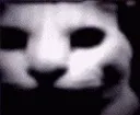 Malevolence Malevolence