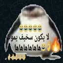 suricomedy