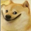 DogSmiling DogSmiling