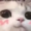 Gato_owo_2 Discord Emoji