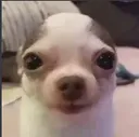 2zstares