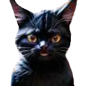 Good Cat Discord Emoji