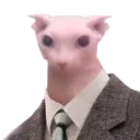 Dapper_Bingus Dapper_Bingus