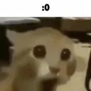 WHAT