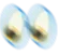nari_zoom nari_zoom