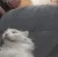 MeWhen