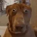 Bruh