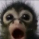 gasp