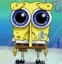 spongkbuqsad