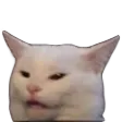 confusedcat