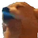 dogJAM