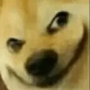 SmileDog