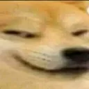 smirkDog