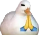prayduck