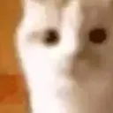what