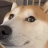 lo_static