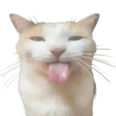 D7_Blehhh Discord emoji