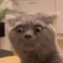 side_eye side_eye