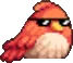 coolbirb
