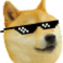 dogecool