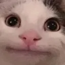 catneutral