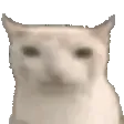 CatEat