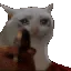 2016742911469174855