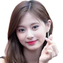 TzuyuHandHeart