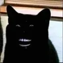 catlaugh