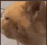 Confused
