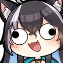 vc0derp2