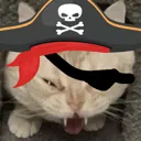 yargh