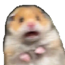 NHM_hamsterr Discord emoji
