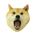 doge Discord Emoji