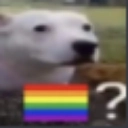 gei Discord emoji