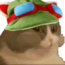 CatNum