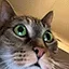 SANECAT