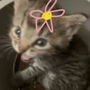 c39455d7d470ae8bbb1a3990a057683e