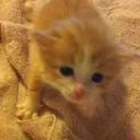 5c9917a7047413b161cb047f2b5319d0