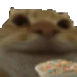 catNom