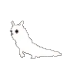 slugcatflip