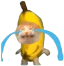 BananaCatCry